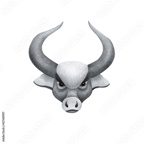 Watercolor silver ox. A bull with big horns. Watercolor bull's head on a white background isolated. Back and white.