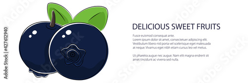 Sweet berry dewberry banner , fruit isolated on white background, vector illustration