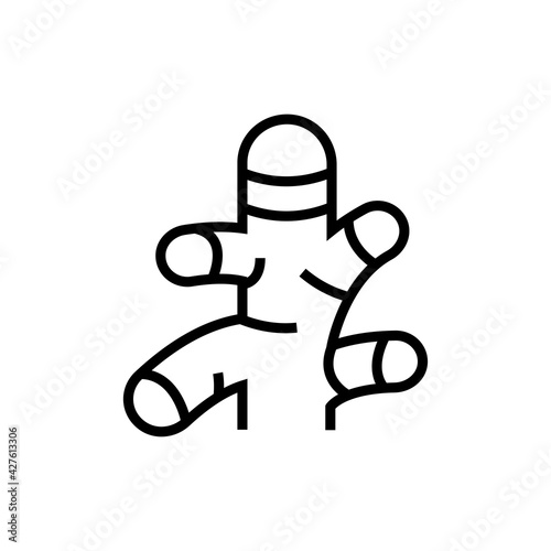 Ginger root icon. Seasoning vector illustration. Isolated contour of orthopedics diseases on white background. Editable stroke