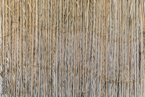 Thin reed fence texture