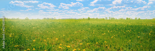 Green field and forest on t...