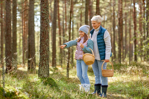 season, leisure and people concept - grandmother and granddaughter with baskets picking mushrooms in forest © Syda Productions
