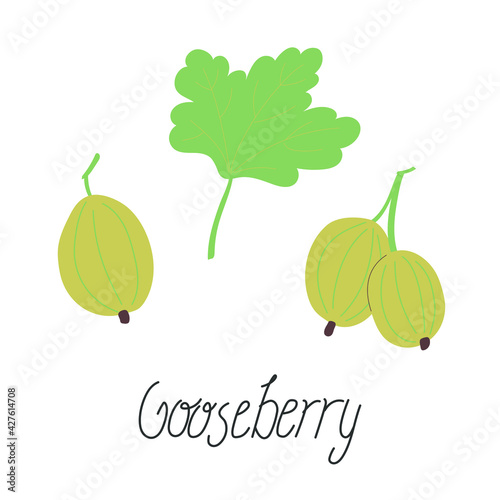 Illustration of gooseberries and leaf. With the inscription Gooseberry. Flat vector illustration. Isolated on white.