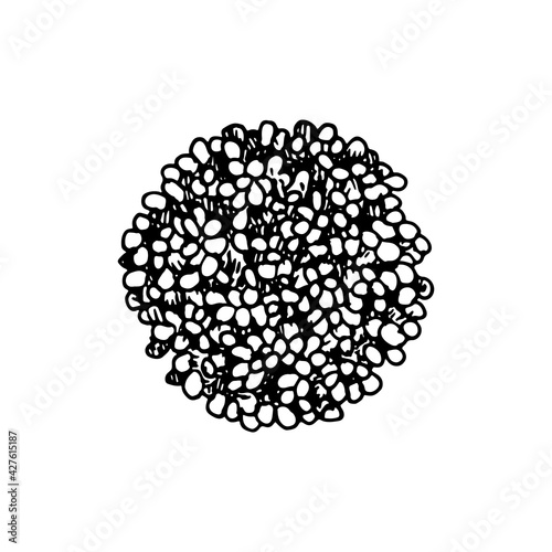 Hand drawn handful of cereals isolated on white background. Vector illustration in sketch style