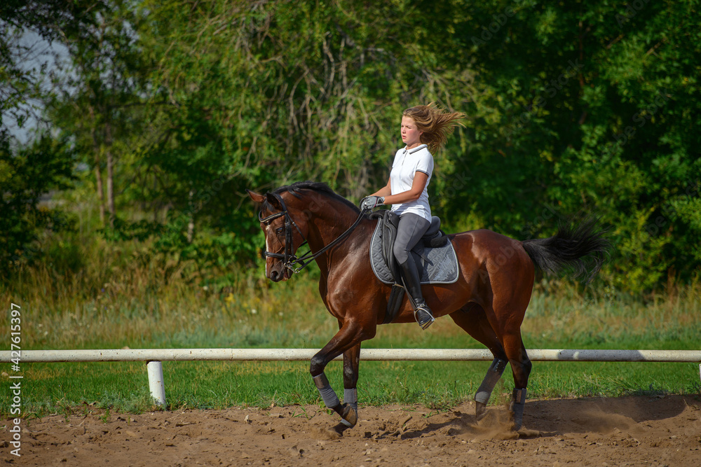 A girl rider trains riding a horse on a spring day. A girl rider trains riding a horse on a spring day.
