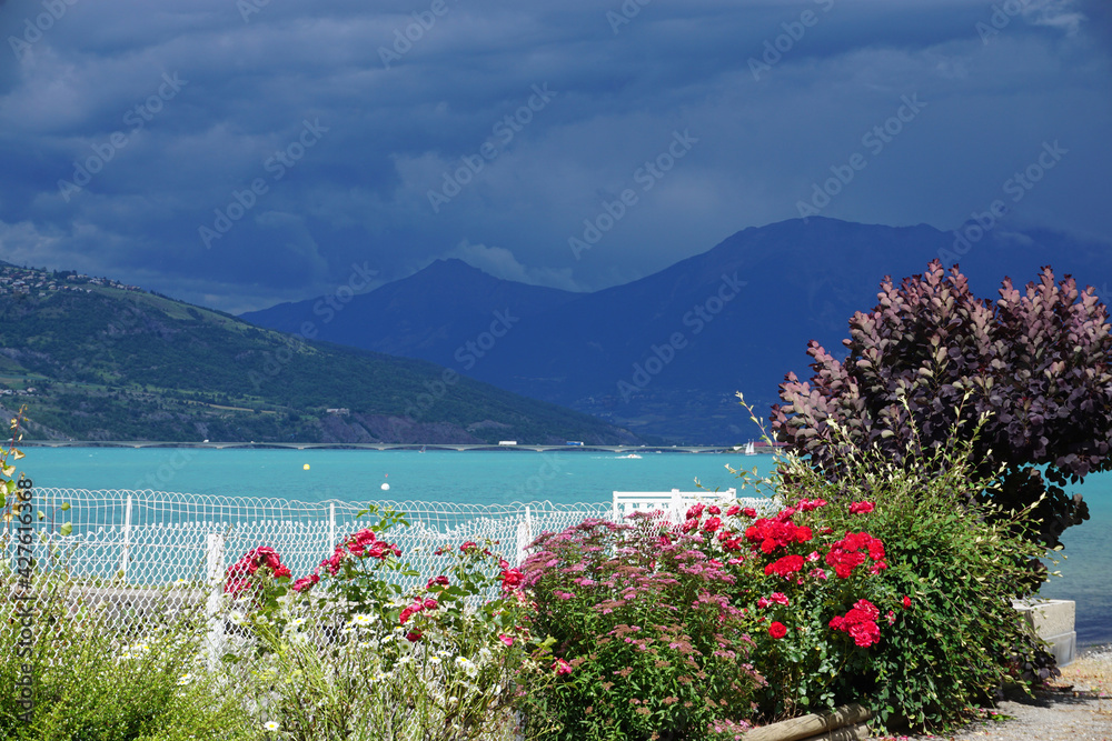 colorful rose bushes and other by the harbor on a stormy day  on Serre Ponçon lake, France