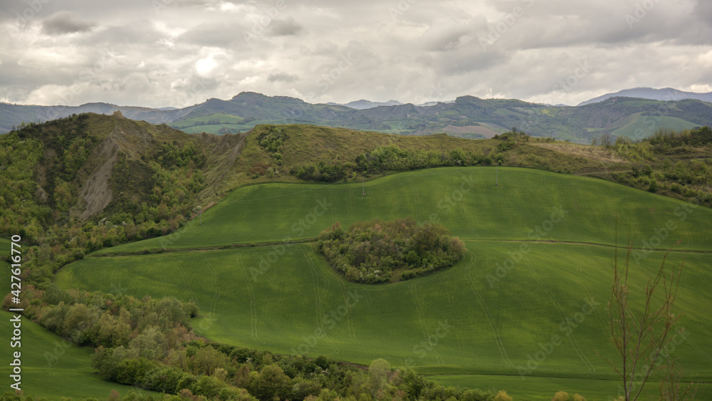 collina collina