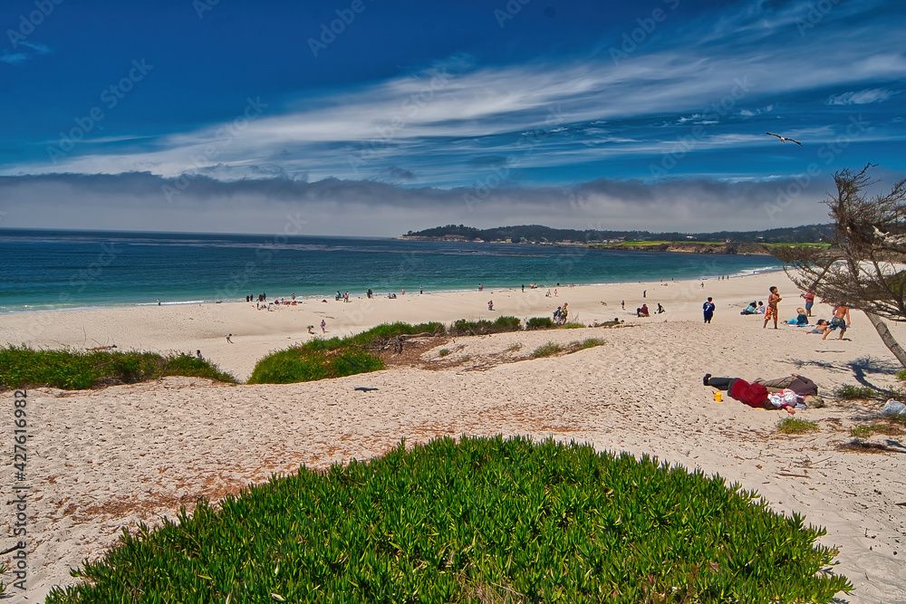 Obraz premium Visiting Carmel by the sea in California