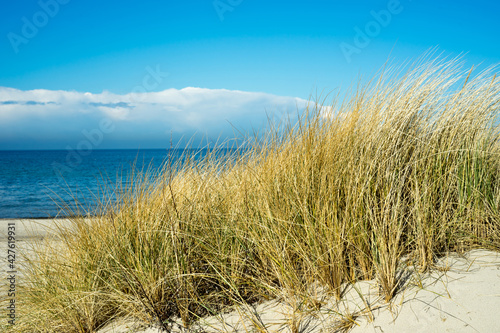Fototapeta Naklejka Na Ścianę i Meble -  Beach access Baltic Sea Kuehlungsborn on a sunny day with a view of the beach, blue sky and white clouds