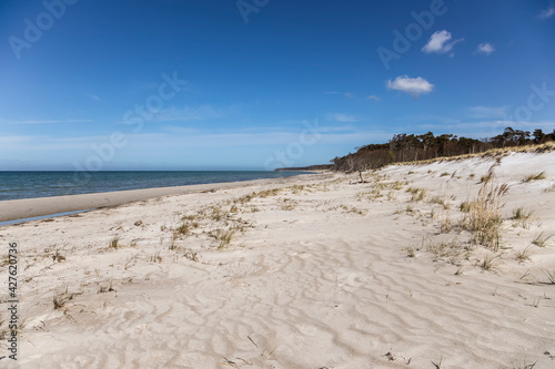 Baltic Sea Day At The Beach