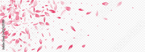 Purple Heart Vector Panoramic Transparent