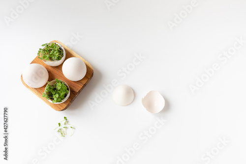 Green sprouts in white egg in wooden egg box on white background. Selective focus, copy space. Eco concept. Life Easter minimal concept.