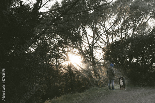 Boy with his dog in the forest 3 photo