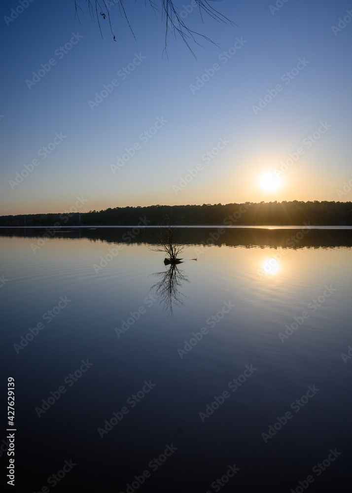 Landscape at golden sunset with trees reflecting in the lake At the beginning of the spring season. A bush sticking out the water and the sun over the horizon.