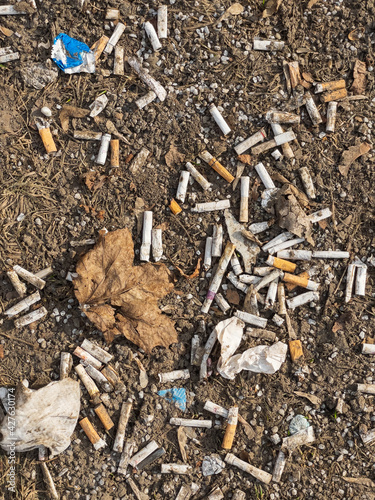 Wallpaper Mural Cigarette butts, dirty paper on the ground. Pollution of nature. Torontodigital.ca