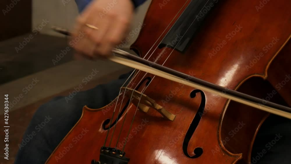 The man plays the big violin. Medium shot. Shot in 4K The man plays the big violin. Medium shot. Shot in 4K