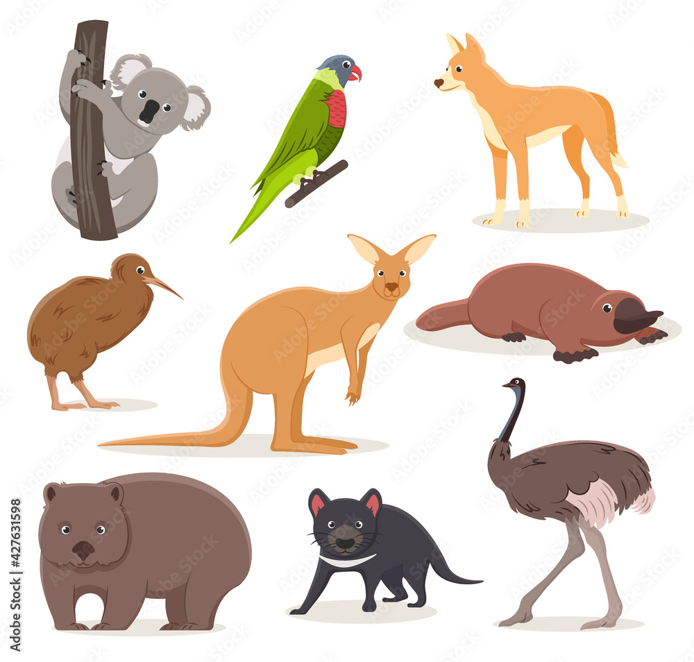 Set of funny cartoon Australian animals - emu, ostrich, koala on a branch, tasmanian devil, dingo dog, platypus, kiwi bird and wombat