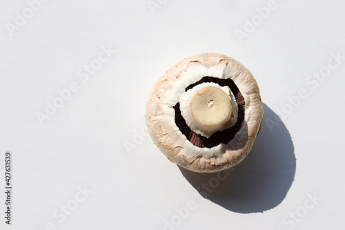 Single champignon mushroom on white table background. Top view, copy space. Hard light, shadow