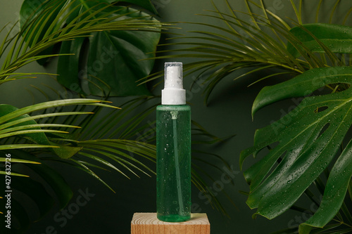 Cosmetic green bottle of skincare product with tonic or micelar water on green background with palm and monstera leaves. Natural beauty product with water drops photo