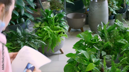Clay pots with flowers are on the floor. A woman florist keeps track of the sale of indoor flowers. Work in the greenhouse. Small business.