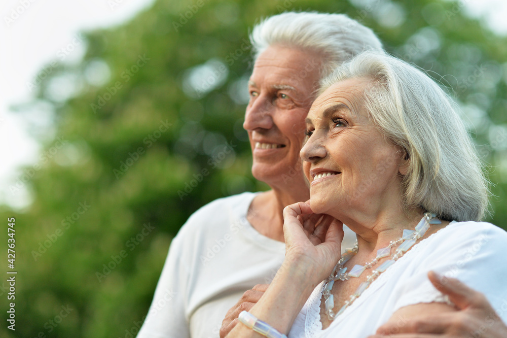 portrait of beautiful senior couple posing portrait of beautiful senior couple posing