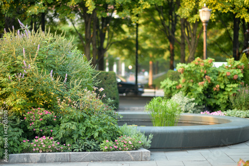 beautiful flower garden with plants