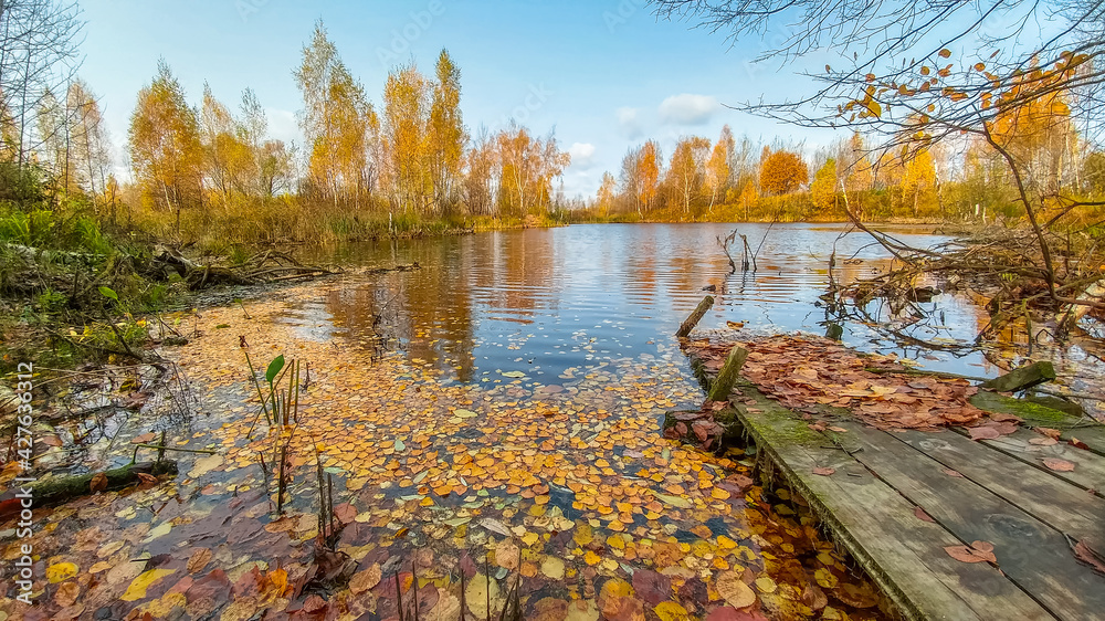 Autumn on the lake in the forest