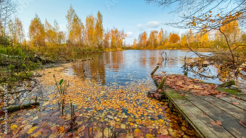 Obraz na płótnie Autumn on the lake in the forest w salonie