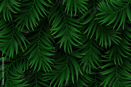 Exotic tropical background with palm leaves. Summer jungle design. Vector illustration.
