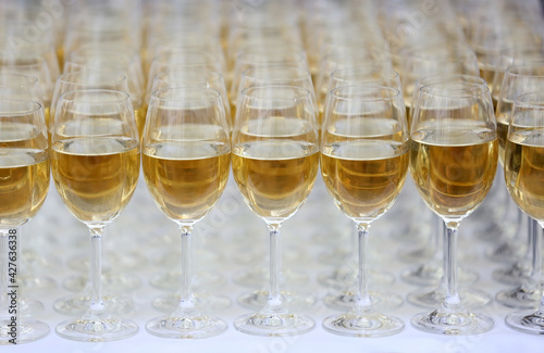 A glass of wines for Degustation.