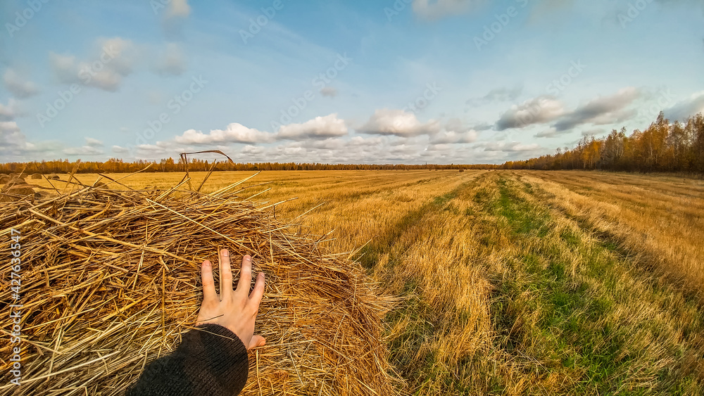 A man put his hand on a bale of hay