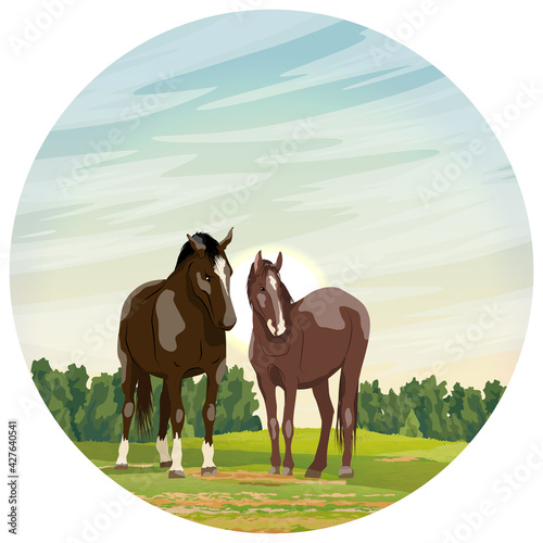 Round composition. A pair of horses stands on the field. Red foal Equus ferus caballus. Wild and farm horses. Realistic vector landscape