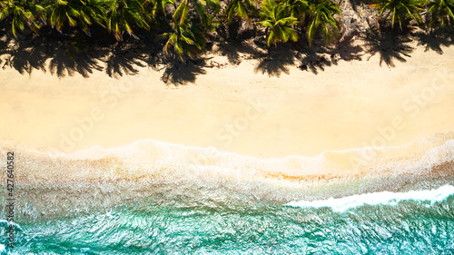 Top view on a tropical beach with white sand and palm trees. Summer vacation concept. Destination for travelling. Carribean sea. Place for text © piksik