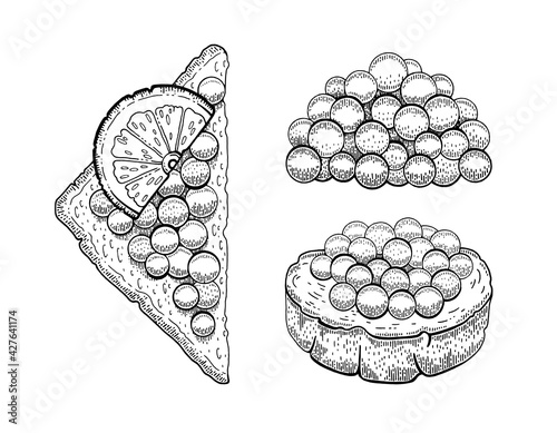 Caviar sketch illustration. Salmon caviar drawing. Vector vintage fish food. Black red fish egg in hand drawn doodle design. Spoon, sanswich, plate. Engraved pattern, art cartoon isolated on white