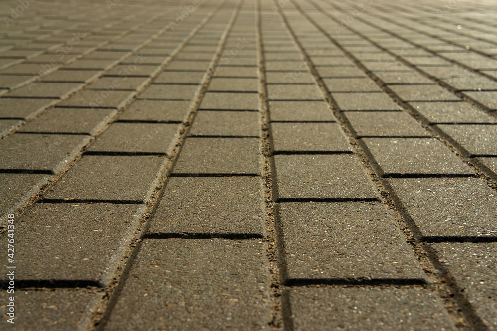Fototapeta premium paving slabs in the rays in warm evening colors