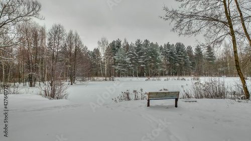 Obraz na płótnie Bench on the shore of a frozen lake w salonie