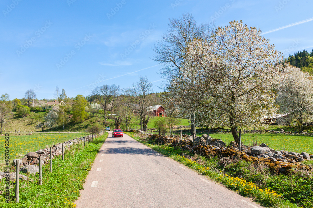 Country road with cars in a rural landscape at spring Country road with cars in a rural landscape at spring