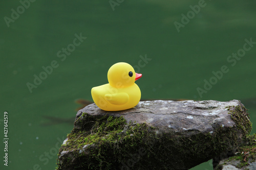 yellow rubber duck on the water