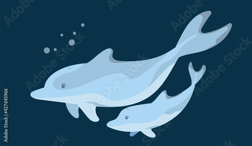 Two dolphins, a parent and a child swim underwater while in motion. A graphic element of summer or marine design. Vector illustration in cartoon style. Isolated object on a dark background.