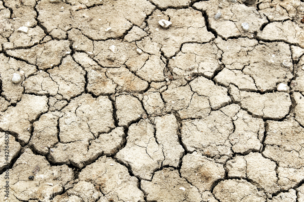 Texture of arid and desert land Texture of arid and desert land