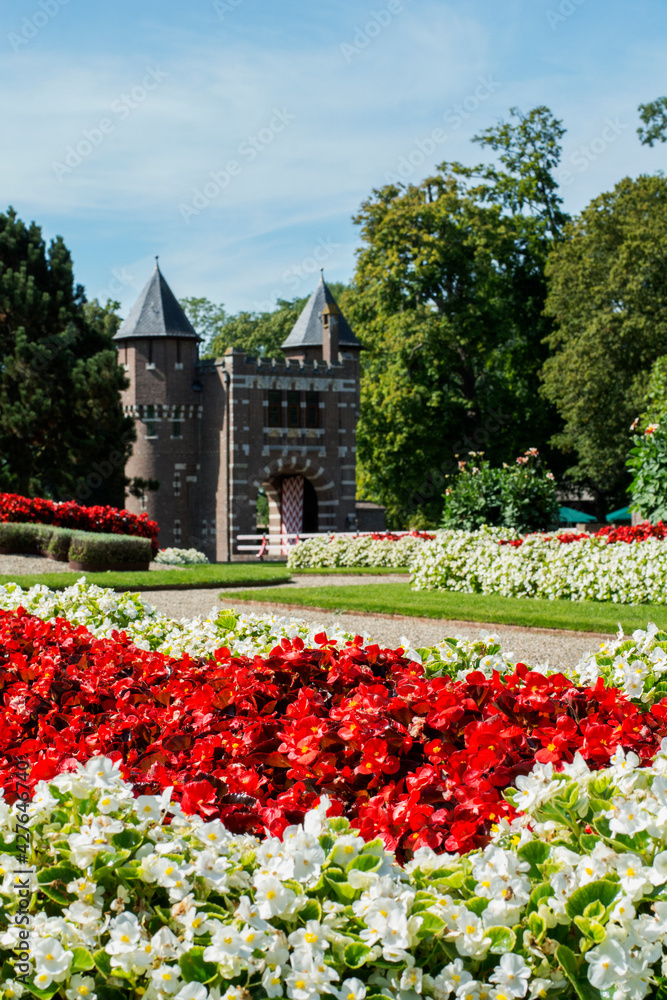 Beautiful white and red tulips in the spring are blooming near the old castle. Dutch castle with beautiful flowerbed with tulips