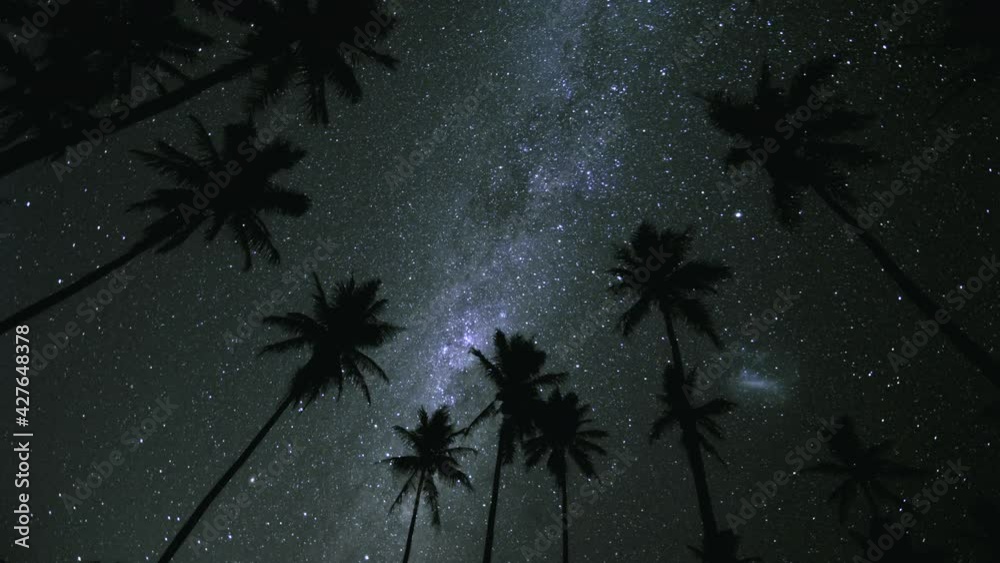 Night sky Milkyway star time lapse with silhouette palm trees - Magellanic cloud