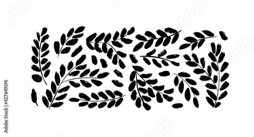 Black paint brush leaves vector collection. Set of black silhouettes banana or protea leaves. Hand drawn eucalyptus foliage, herbs, plant branches. Vector ink elements isolated on white background.