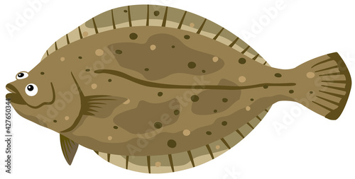 魚／ヒラメ