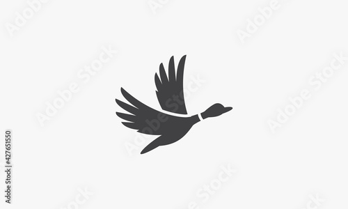 duck goose swan vector illustration on white background. creative icon.