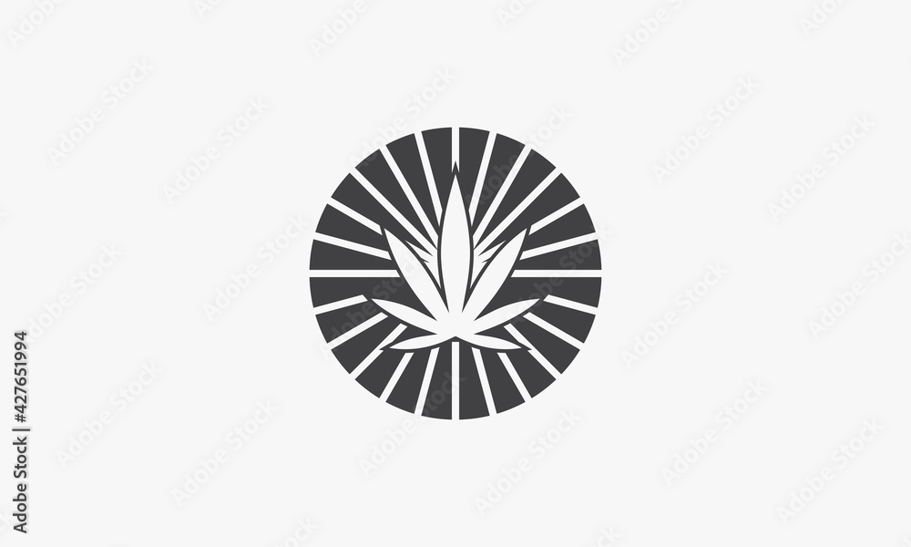 sunrays leaf vector illustration on white background. creative icon.