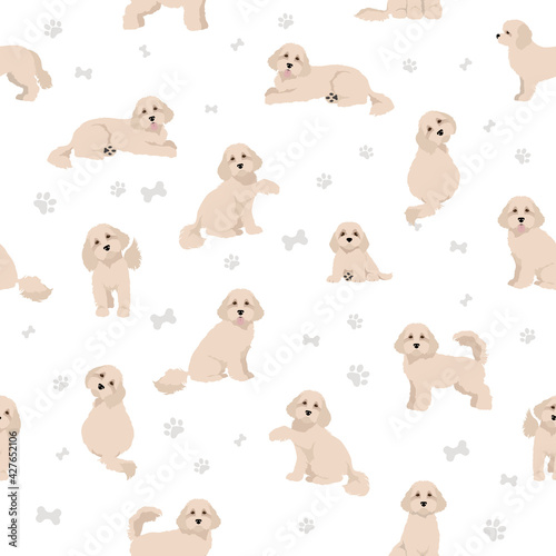 Cavapoo mix breed seamless pattern. Different poses  coat colors set.