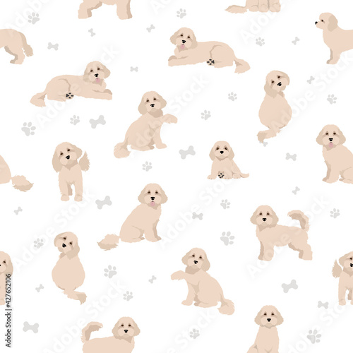Cavapoo mix breed seamless pattern. Different poses, coat colors set.