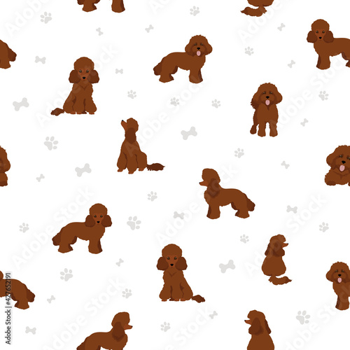 Toy poodle seamless pattern.