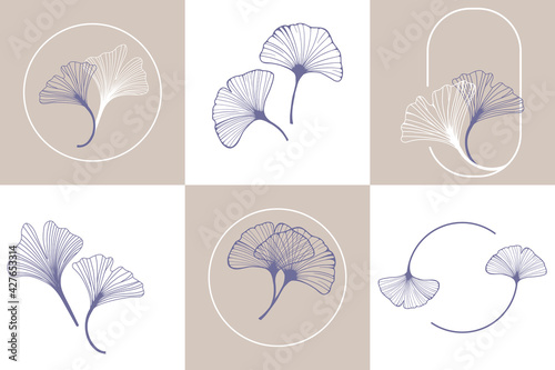 Ginkgo biloba leaves. Set of ginkgo leaf by hand drawing on white backgrounds. Elements for logo design. Vector illustration in a minimal linear style.